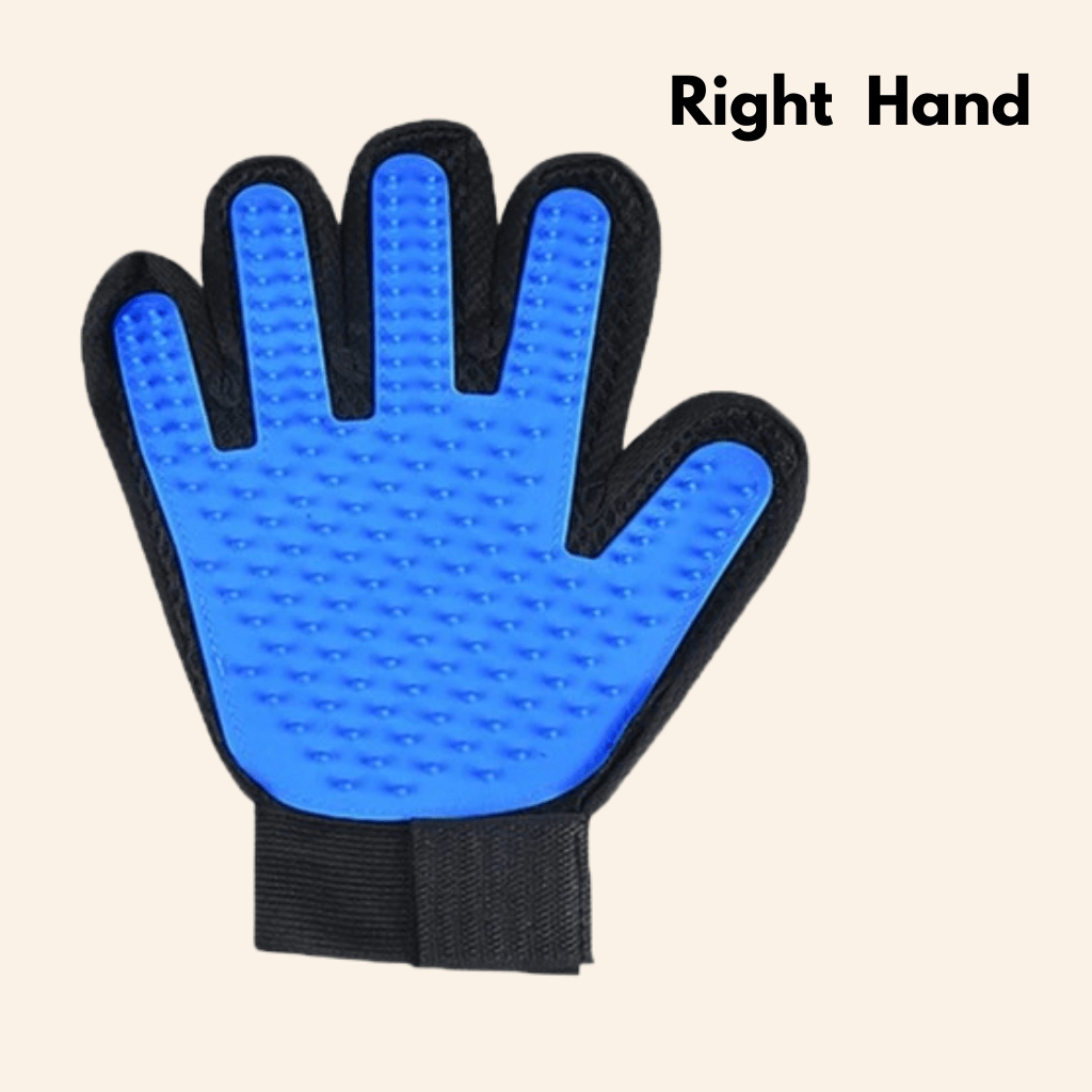 FurEase Grooming Glove