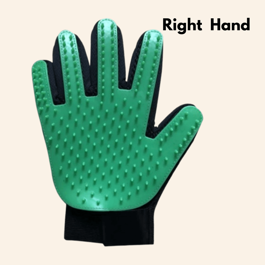 FurEase Grooming Glove