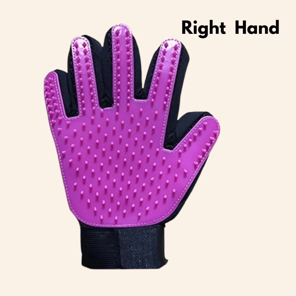 FurEase Grooming Glove