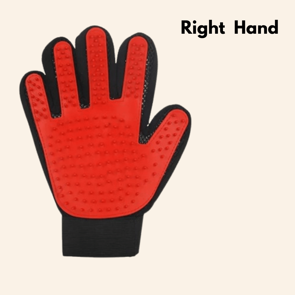FurEase Grooming Glove