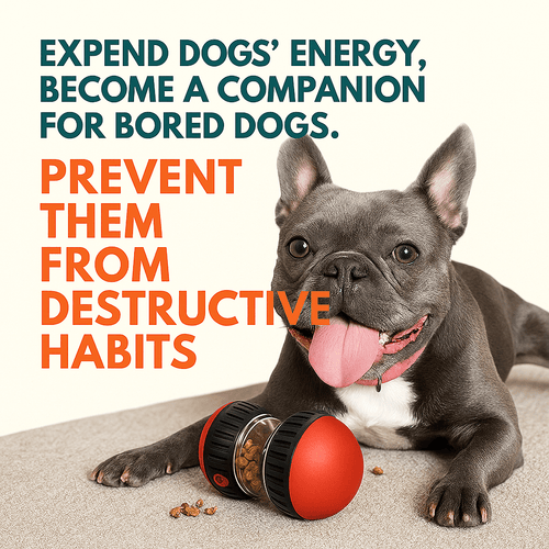 Interactive Treat Dispenser Toy for Dogs