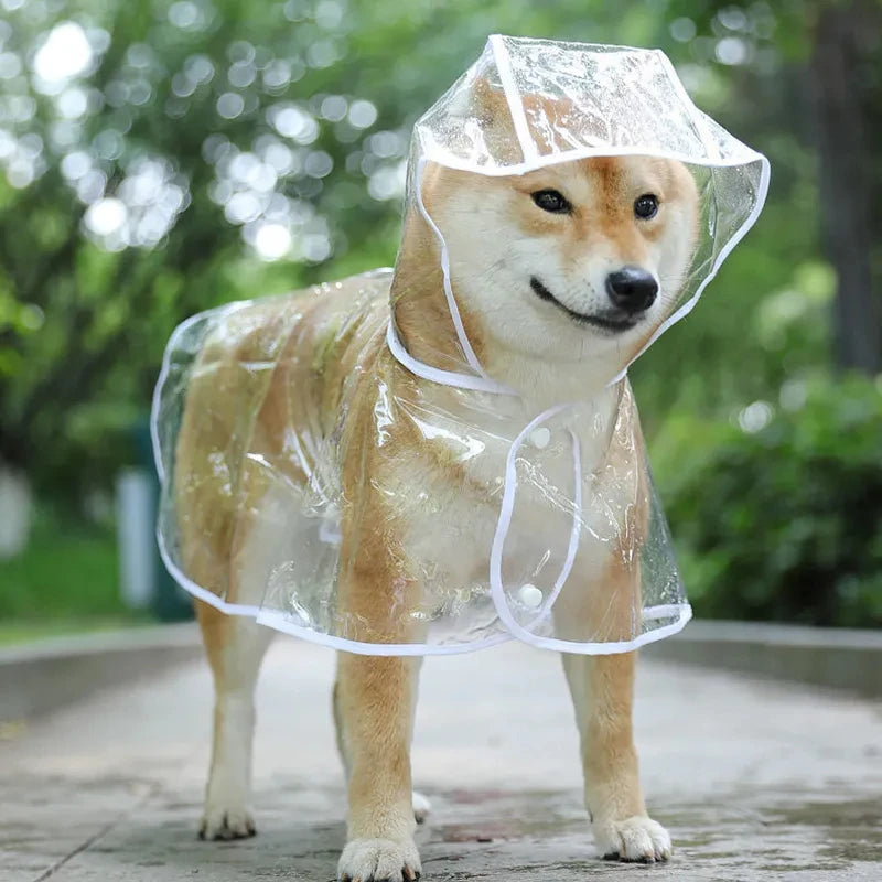 Transparent Rainwear Raincoat