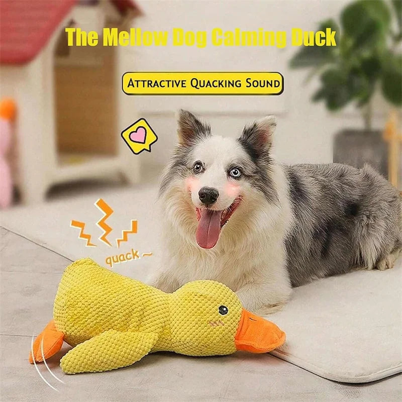 SmartPaw Treat Launcher