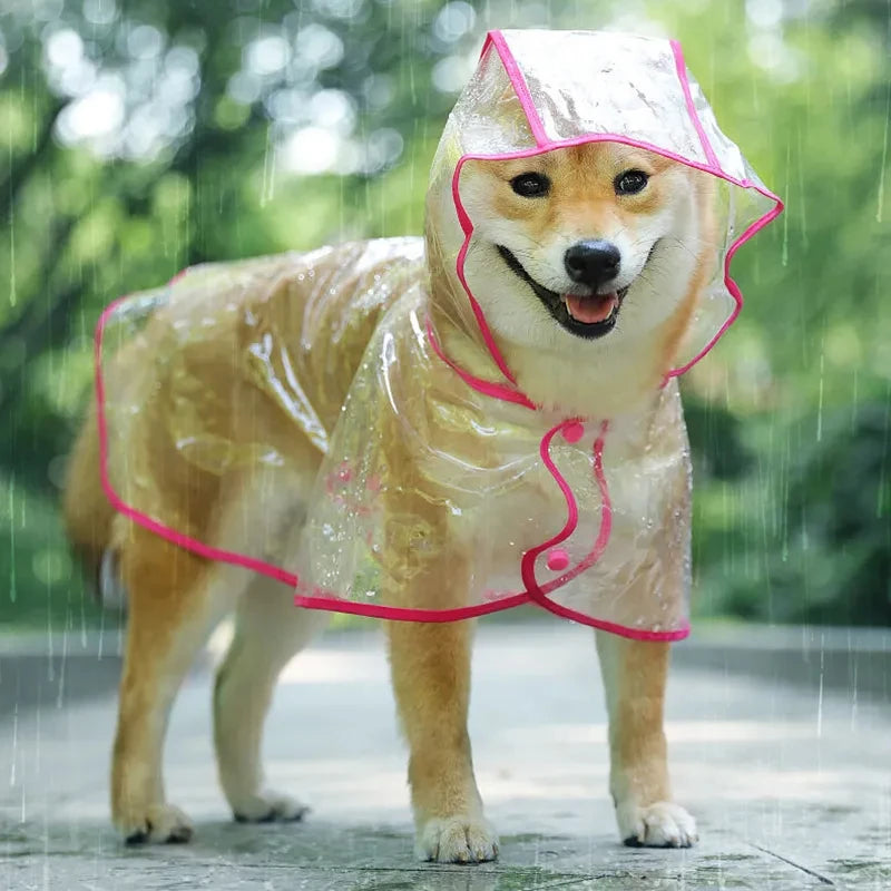 Transparent Rainwear Raincoat
