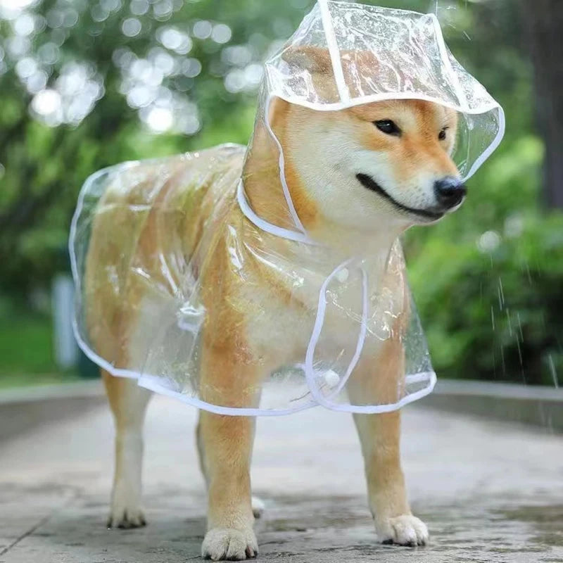 Transparent Rainwear Raincoat