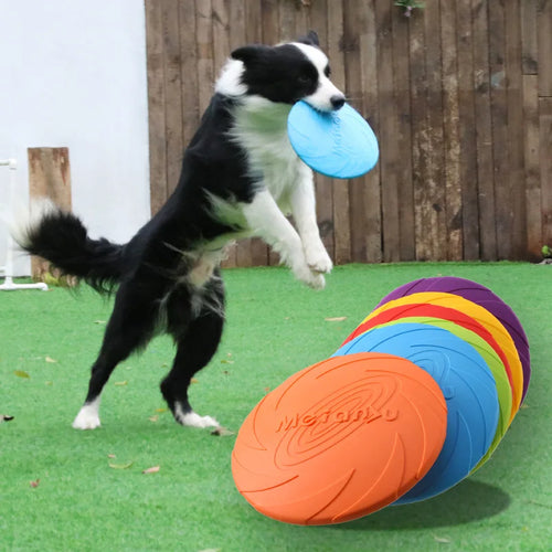 FlyPaw – Dog Frisbee