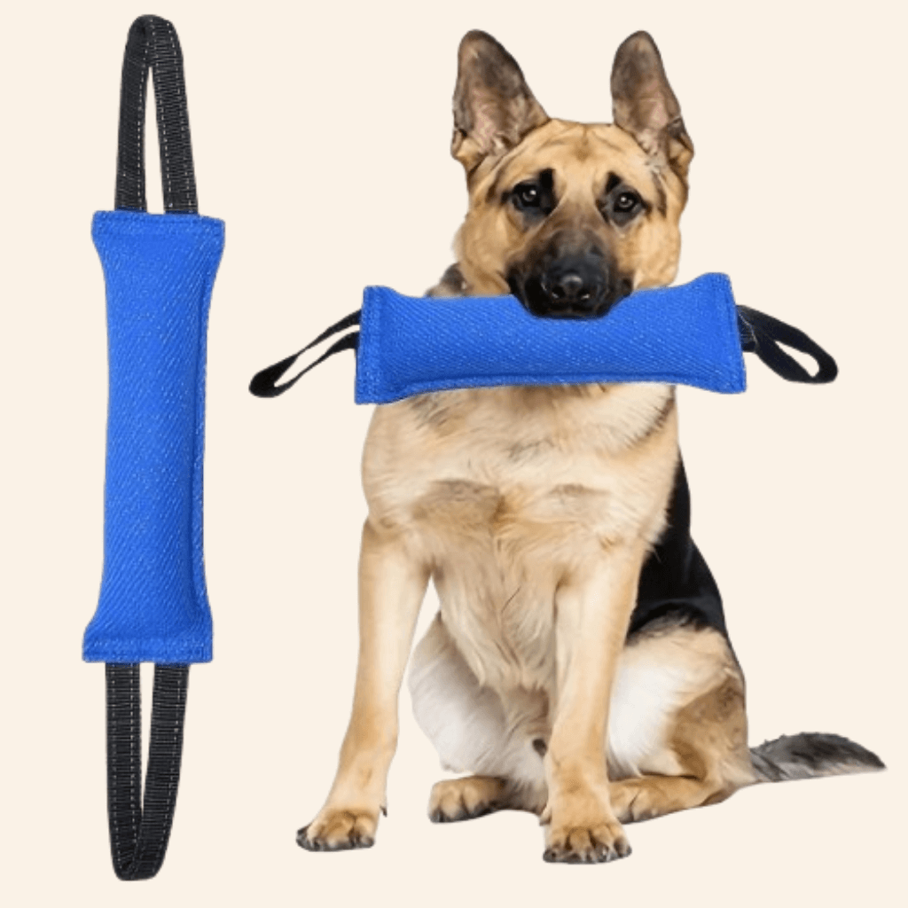 Tug of War Toy