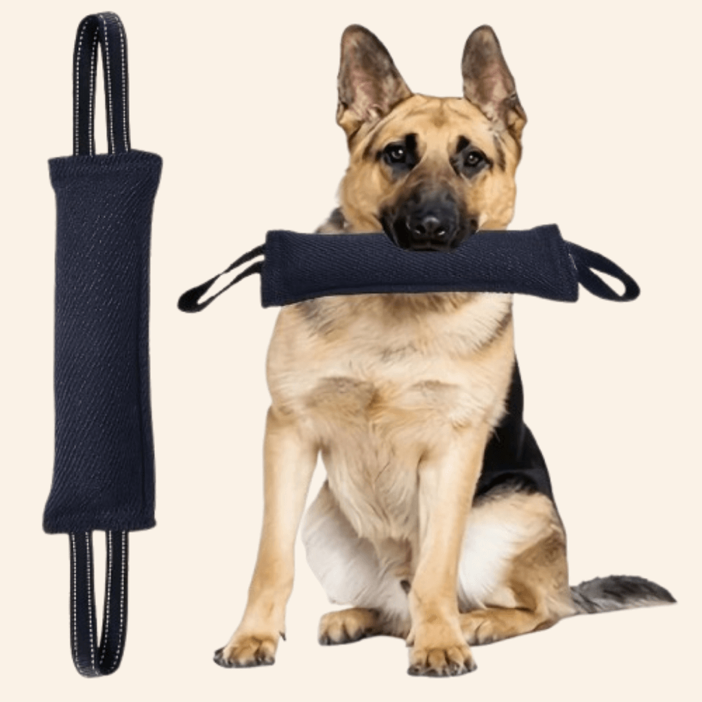 Tug of War Toy