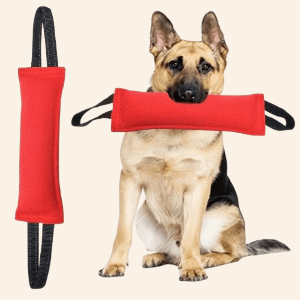 Tug of War Toy