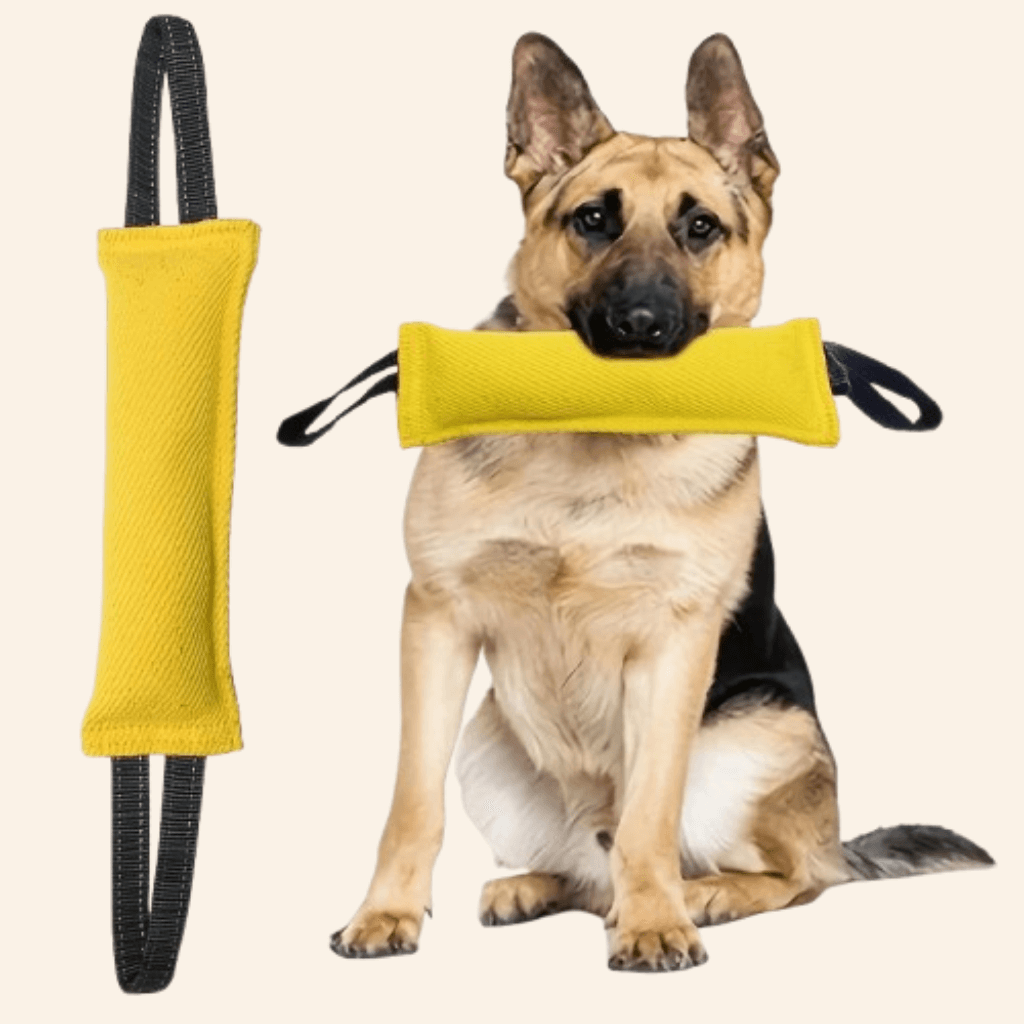 Tug of War Toy