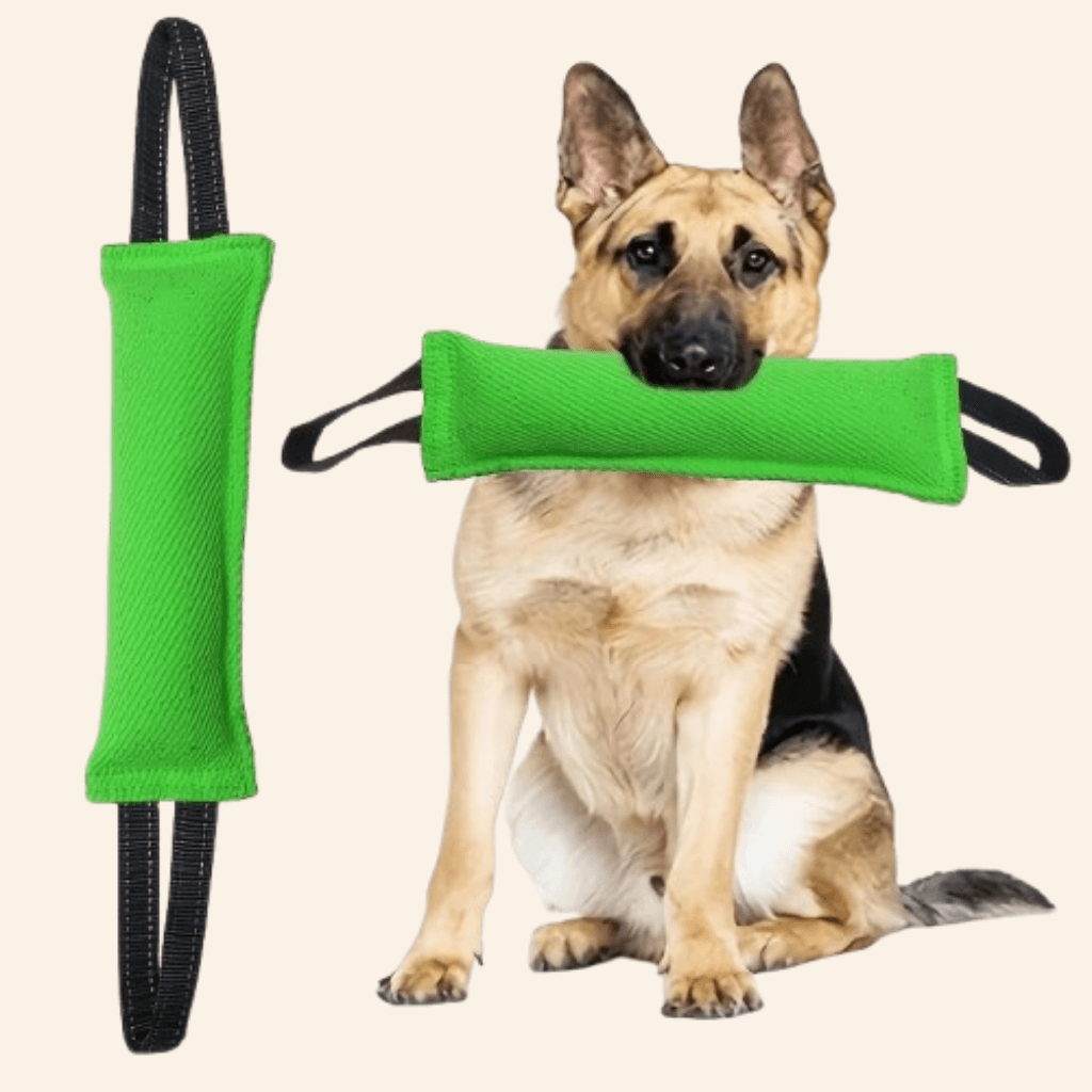 Tug of War Toy