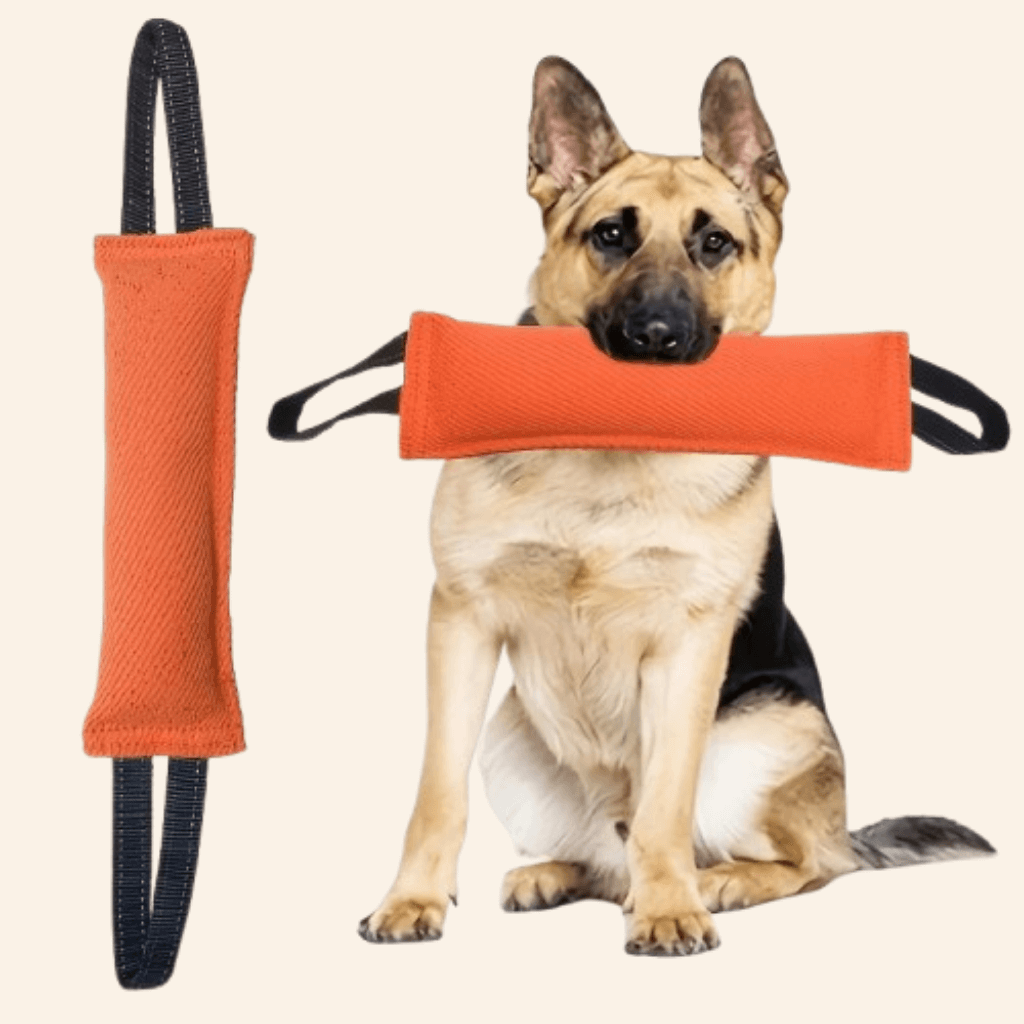 Tug of War Toy