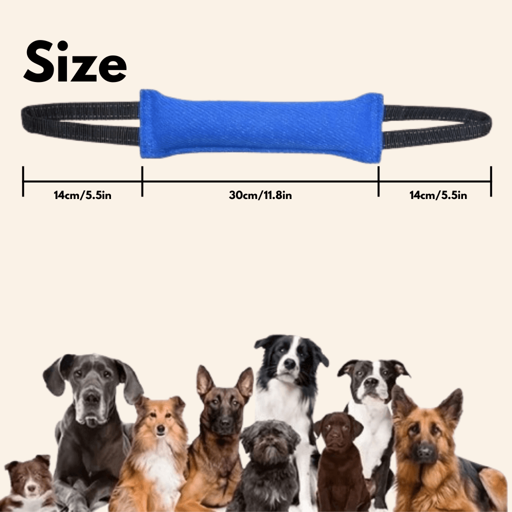 Tug of War Toy