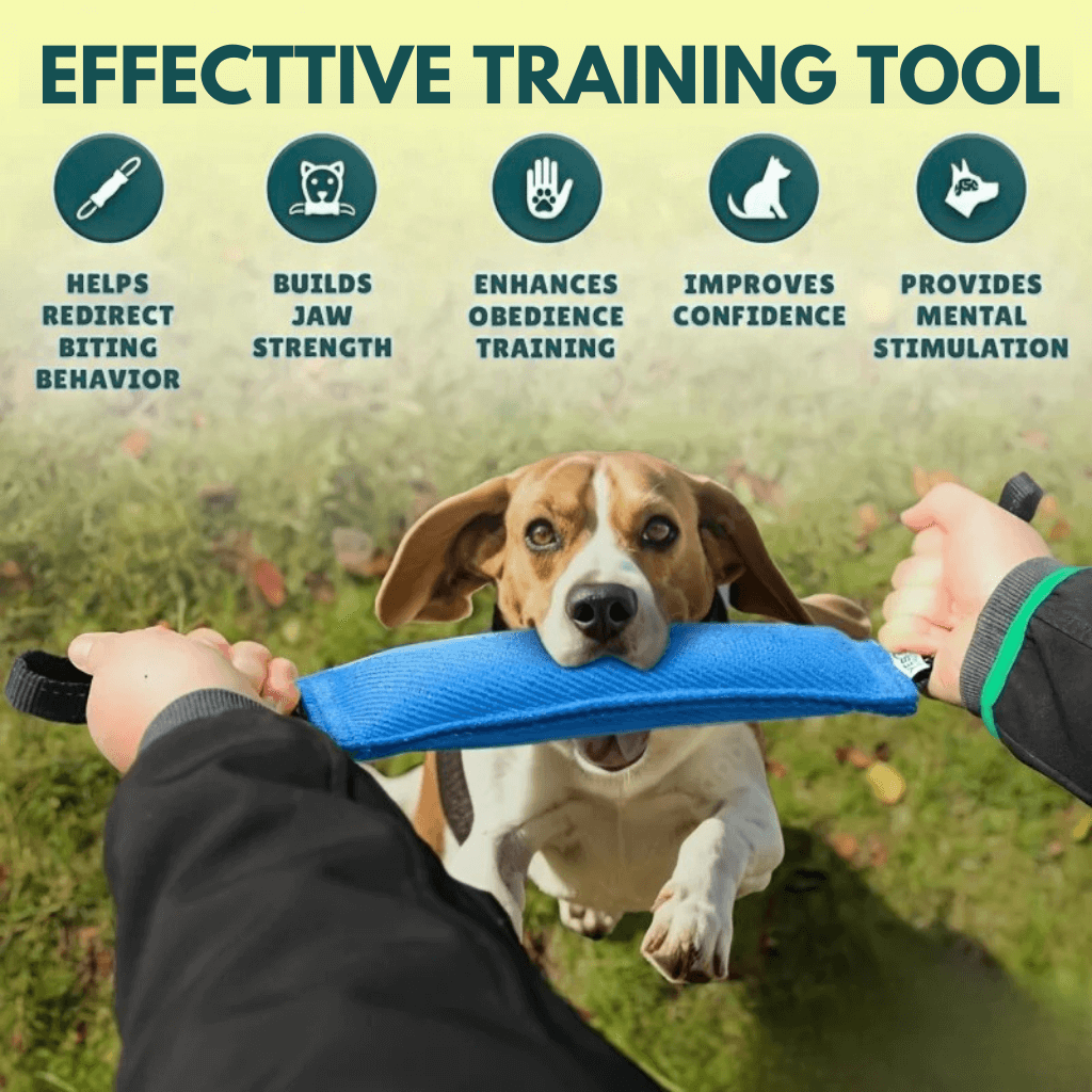 Tug of War Toy